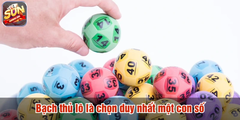 Bạch thủ lô là chọn duy nhất một con số