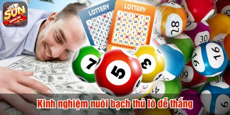 Kinh nghiệm nuôi bạch thủ lô dễ thắng