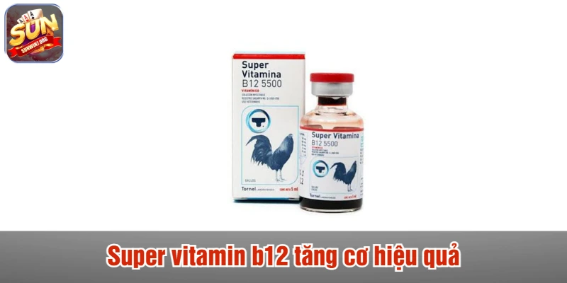 Super vitamin b12 tăng cơ hiệu quả